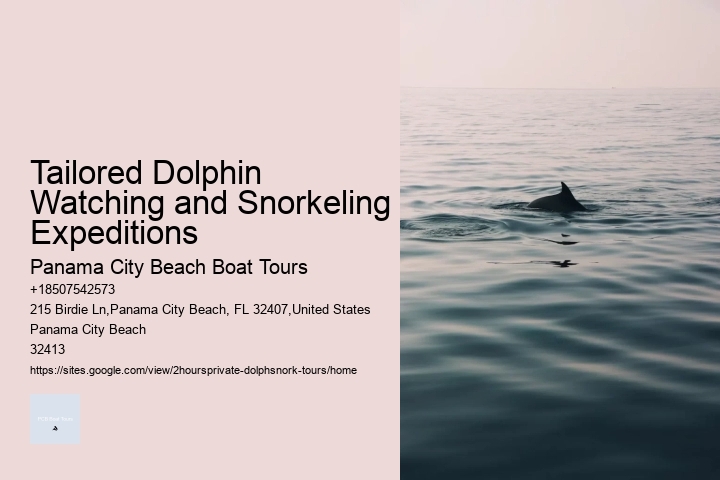 Tailored Dolphin Watching and Snorkeling Expeditions