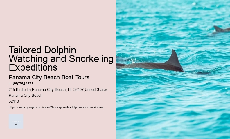 2 Hour Dolphin Cruise