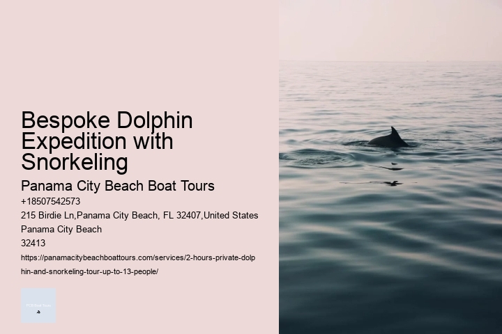 Bespoke Dolphin Expedition with Snorkeling