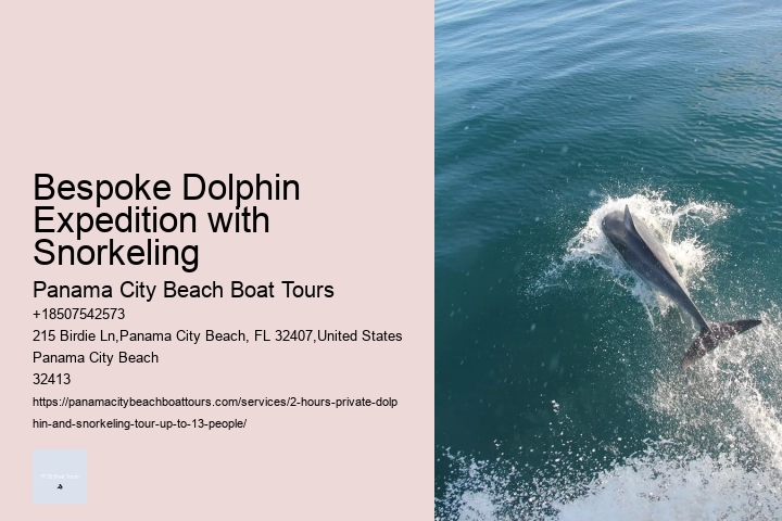 2 Hours Private Dolphin And Snorkeling Tours Florida