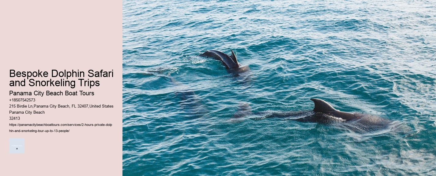 Bespoke Dolphin Safari and Snorkeling Trips