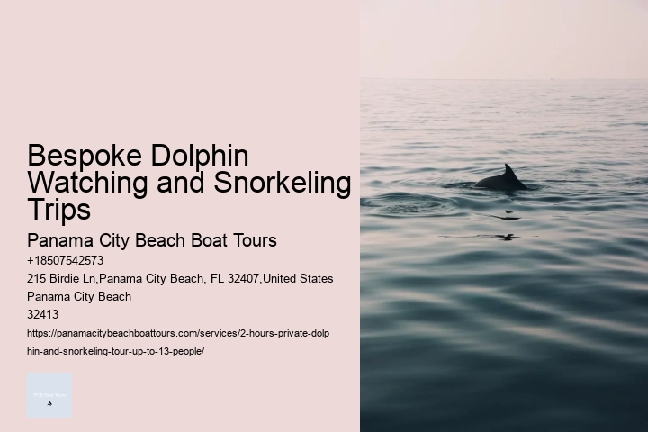 Bespoke Dolphin Watching and Snorkeling Trips