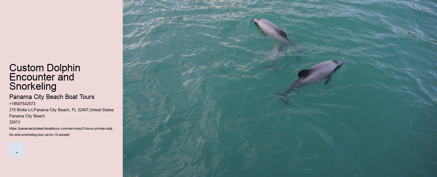 Custom Dolphin Encounter and Snorkeling