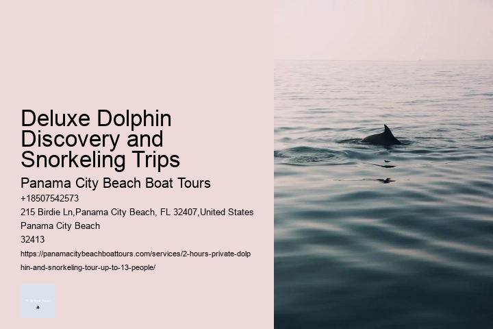 Deluxe Dolphin Discovery and Snorkeling Trips