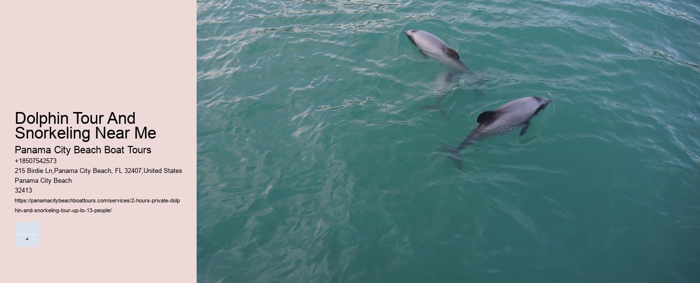 Dolphin Tour And Snorkeling Near Me
