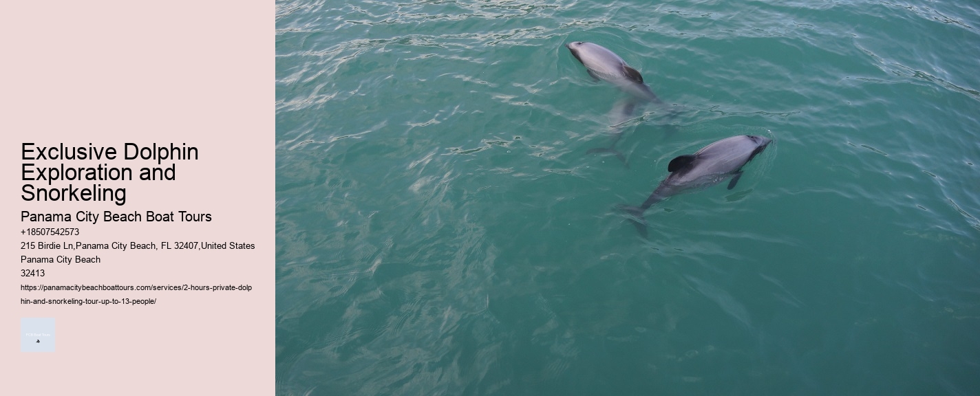 Guidelines For Interaction With Wild Dolphins In Florida