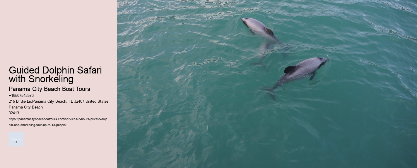 Guided Dolphin Safari with Snorkeling