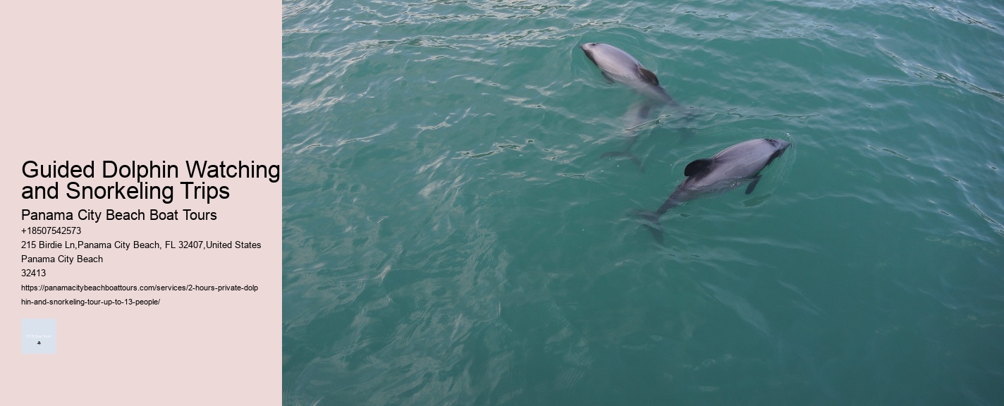 Guided Dolphin Watching and Snorkeling Trips
