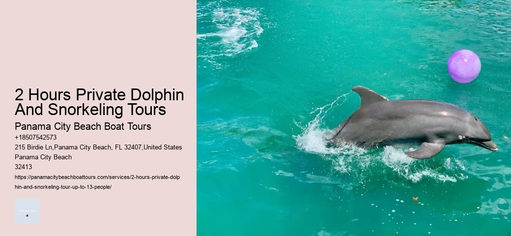 How Much Does It Cost To Swim With The Dolphins At Dolphin Cove