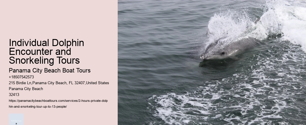 Dolphin Tours Gulf Shores