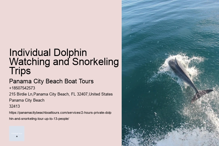 Wheelchair Accessible Dolphin Tours