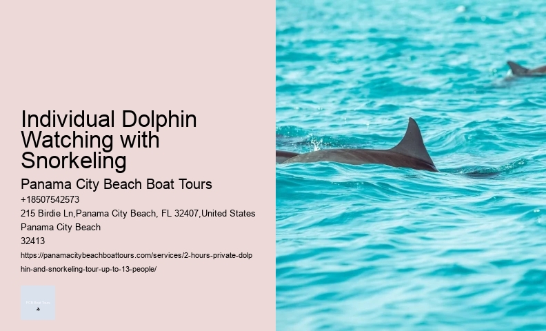 Ki Dolphin Tours