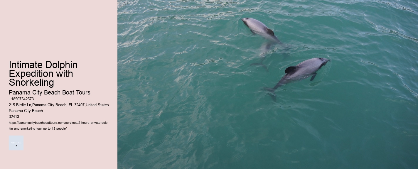 Intimate Dolphin Expedition with Snorkeling