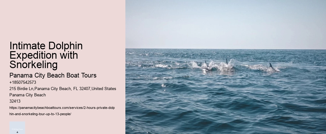 Pier 21 Dolphin Tours Galveston