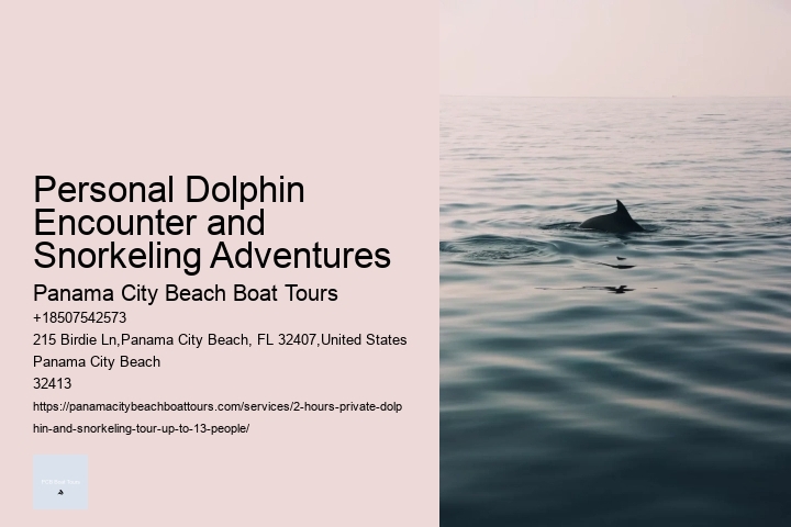 Personal Dolphin Encounter and Snorkeling Adventures