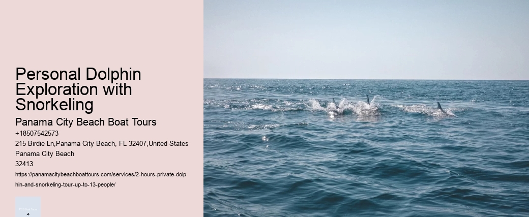 Personal Dolphin Exploration with Snorkeling