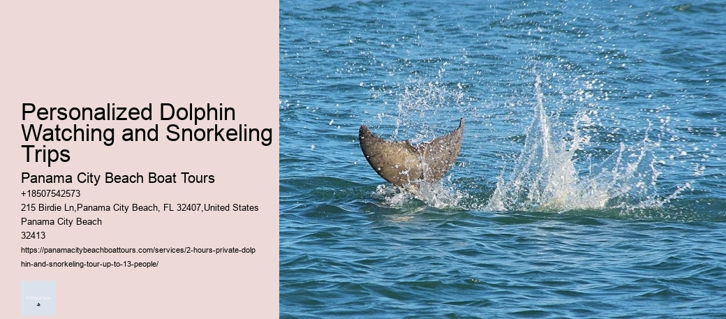 Personalized Dolphin Watching and Snorkeling Trips