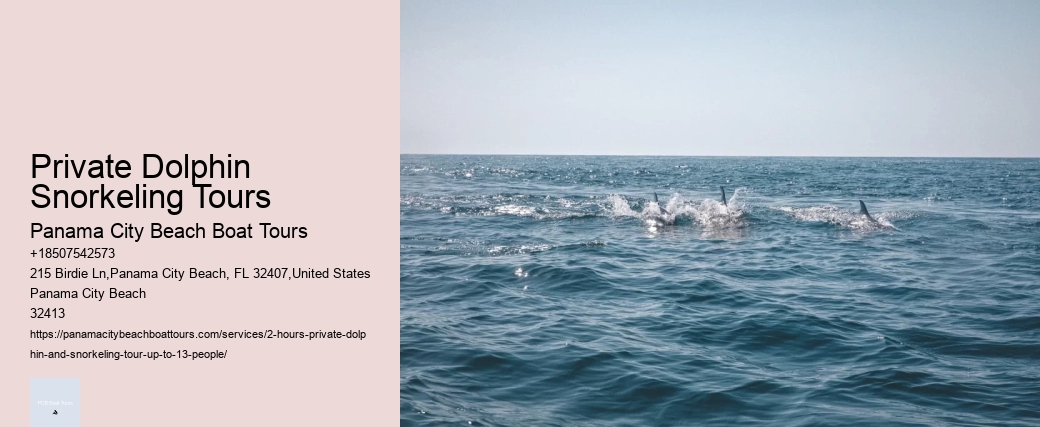 Private Dolphin Snorkeling Tours