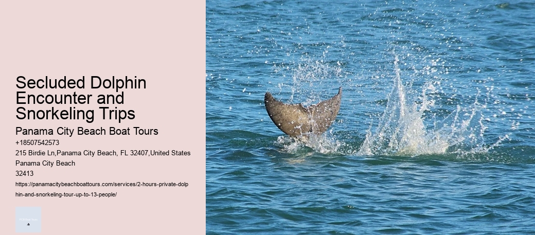 Secluded Dolphin Encounter and Snorkeling Trips