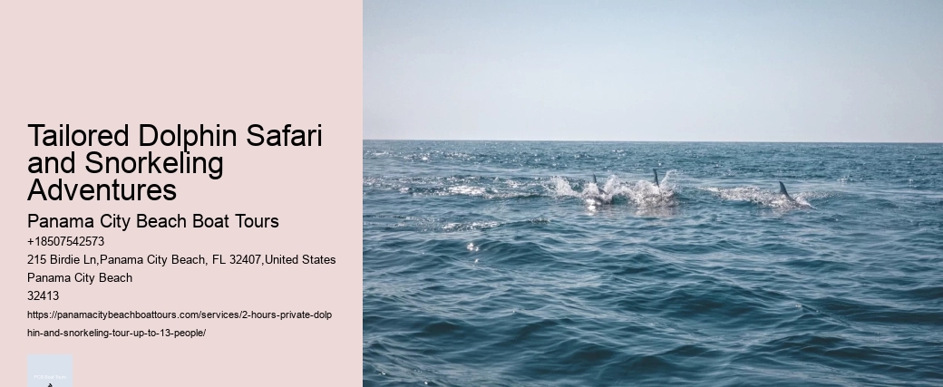 Private Dolphin And Snorkeling