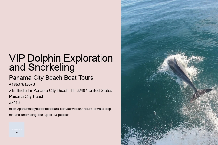 Dolphin Tours Tampa Area