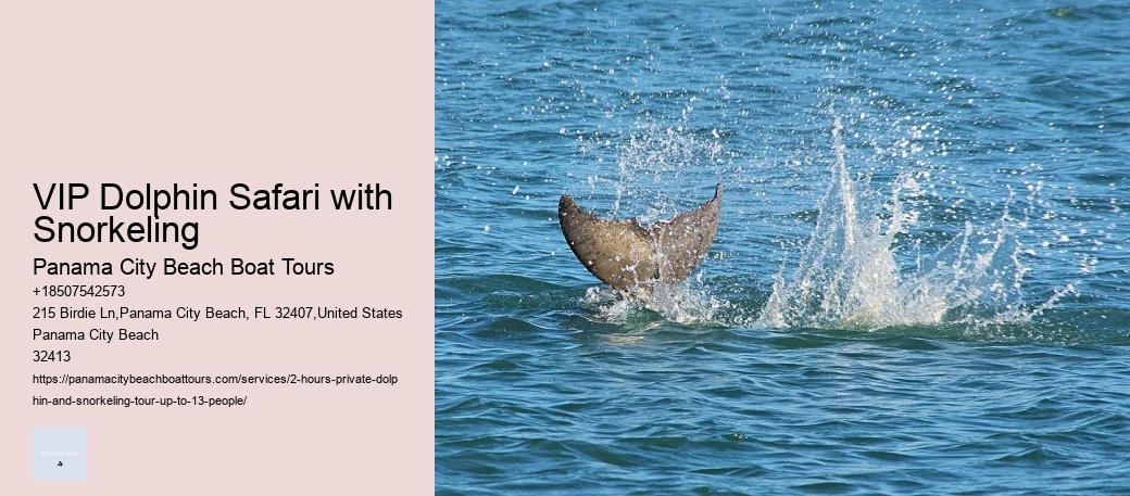 Dolphin Tours Ocean City Md