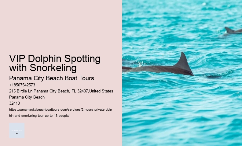 Dolphin Viewing Tours