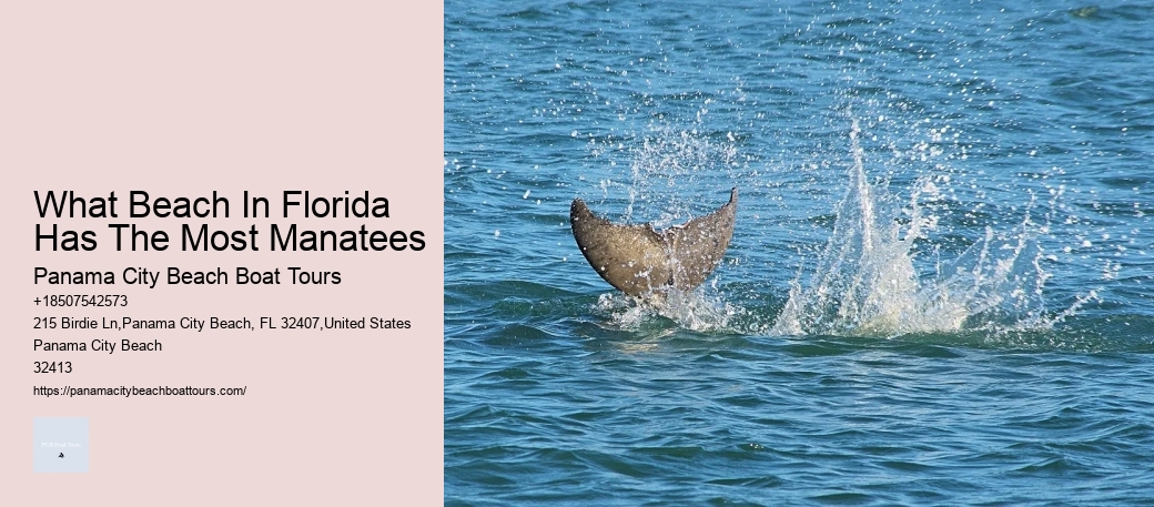 What Beach In Florida Has The Most Manatees