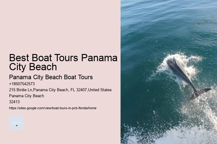 Dolphin Cruise In Panama City Beach Florida