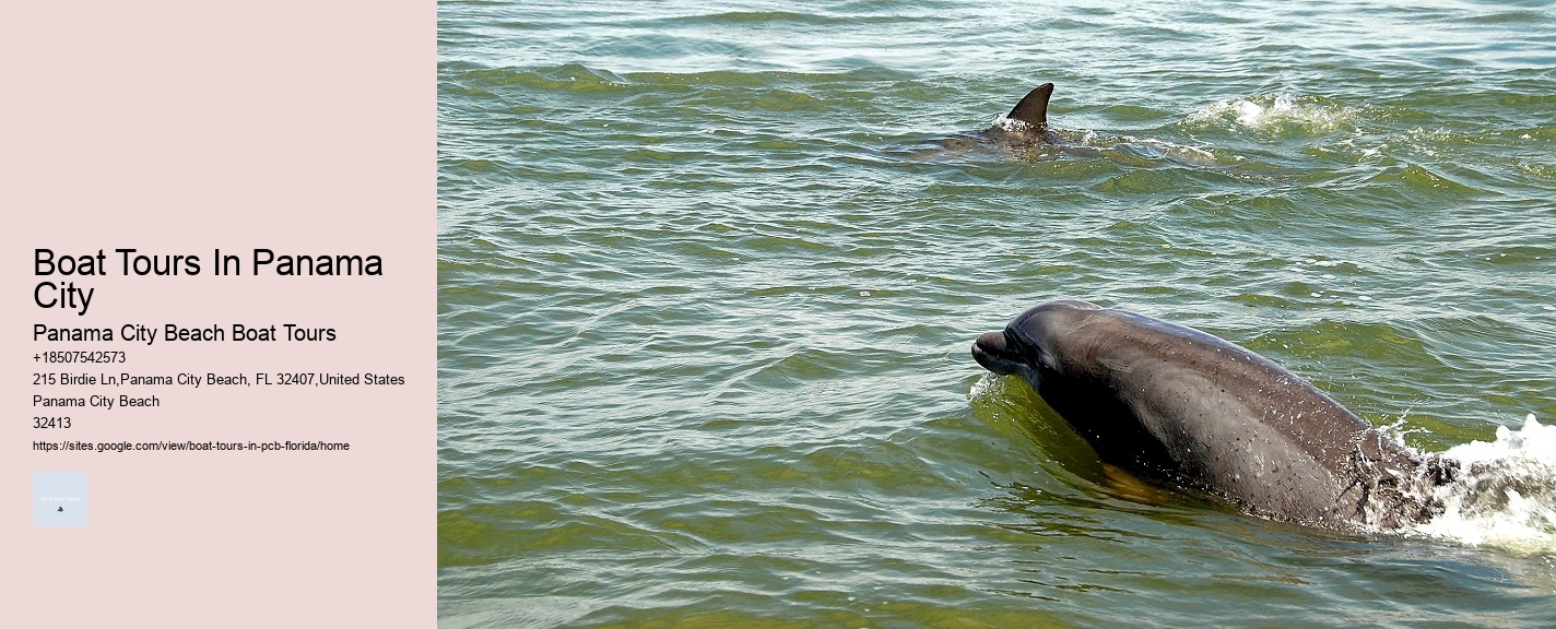 Boat Tours In Panama City