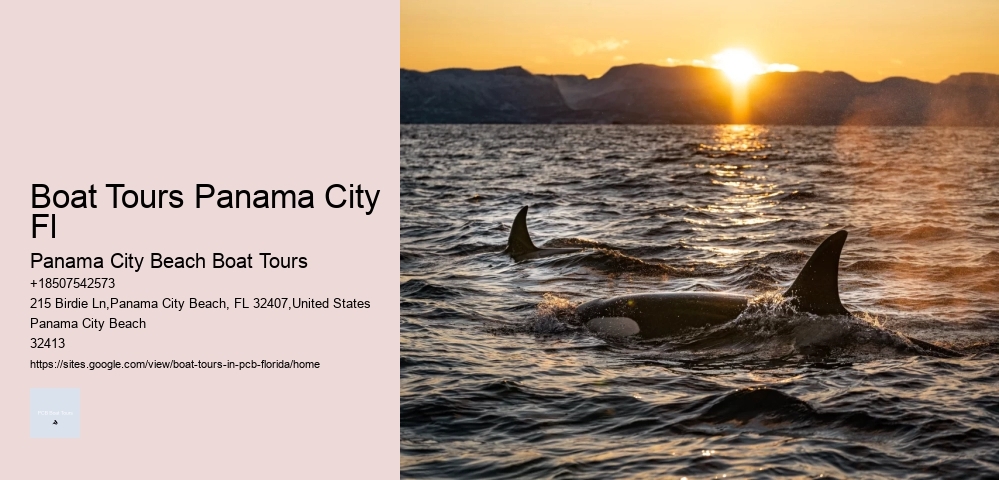 Boat Tours Panama City Fl