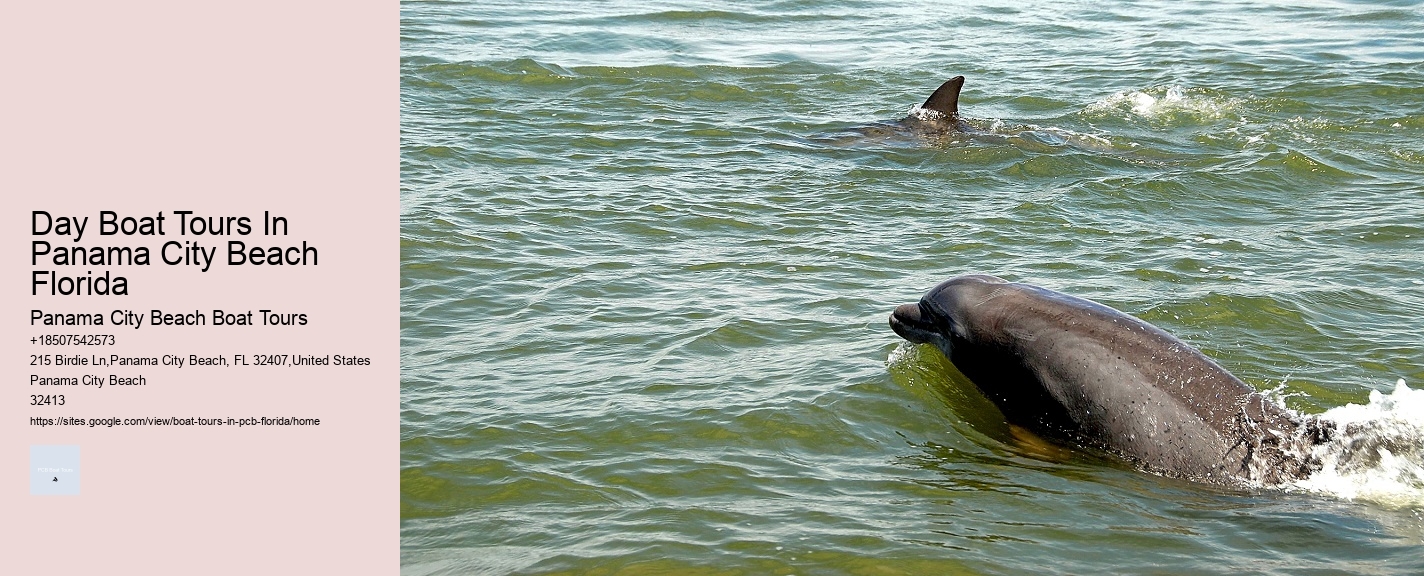 Day Boat Tours In Panama City Beach Florida