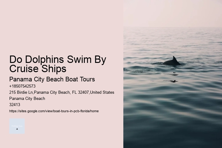 Do Dolphins Swim By Cruise Ships