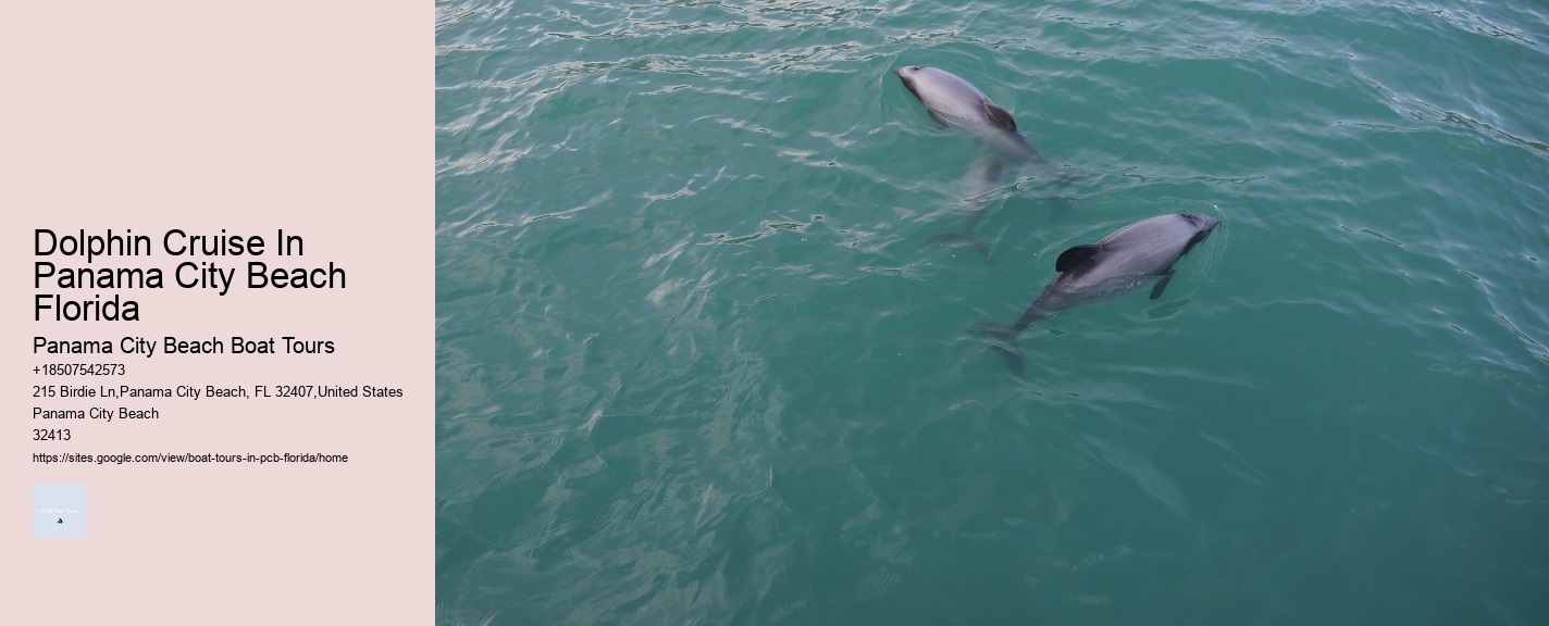 Dolphin Cruise In Panama City Beach Florida