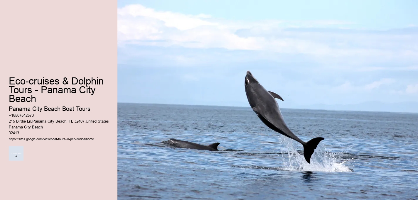 Eco-cruises & Dolphin Tours - Panama City Beach