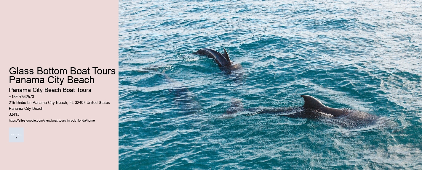 Glass Bottom Boat Tours Panama City Beach