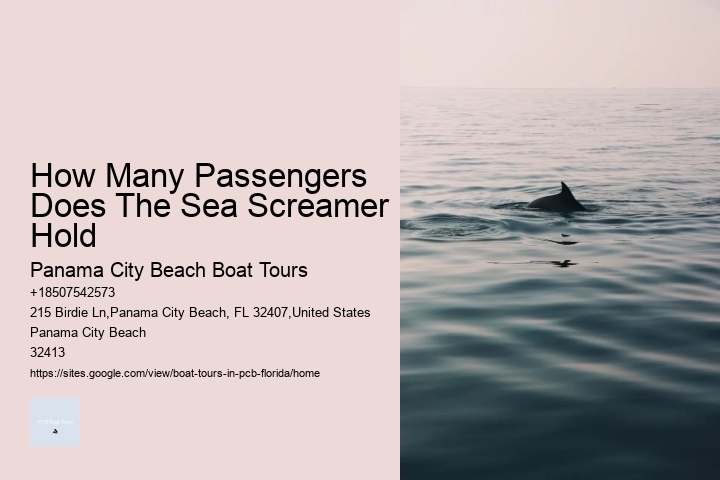 How Many Passengers Does The Sea Screamer Hold