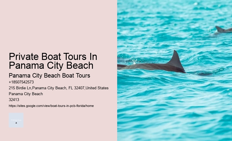 Dolphin Tours