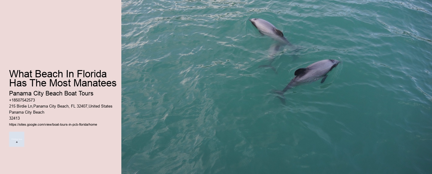 What Beach In Florida Has The Most Manatees