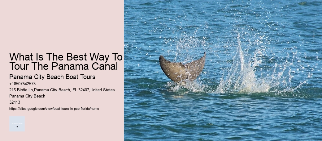 What Is The Best Way To Tour The Panama Canal