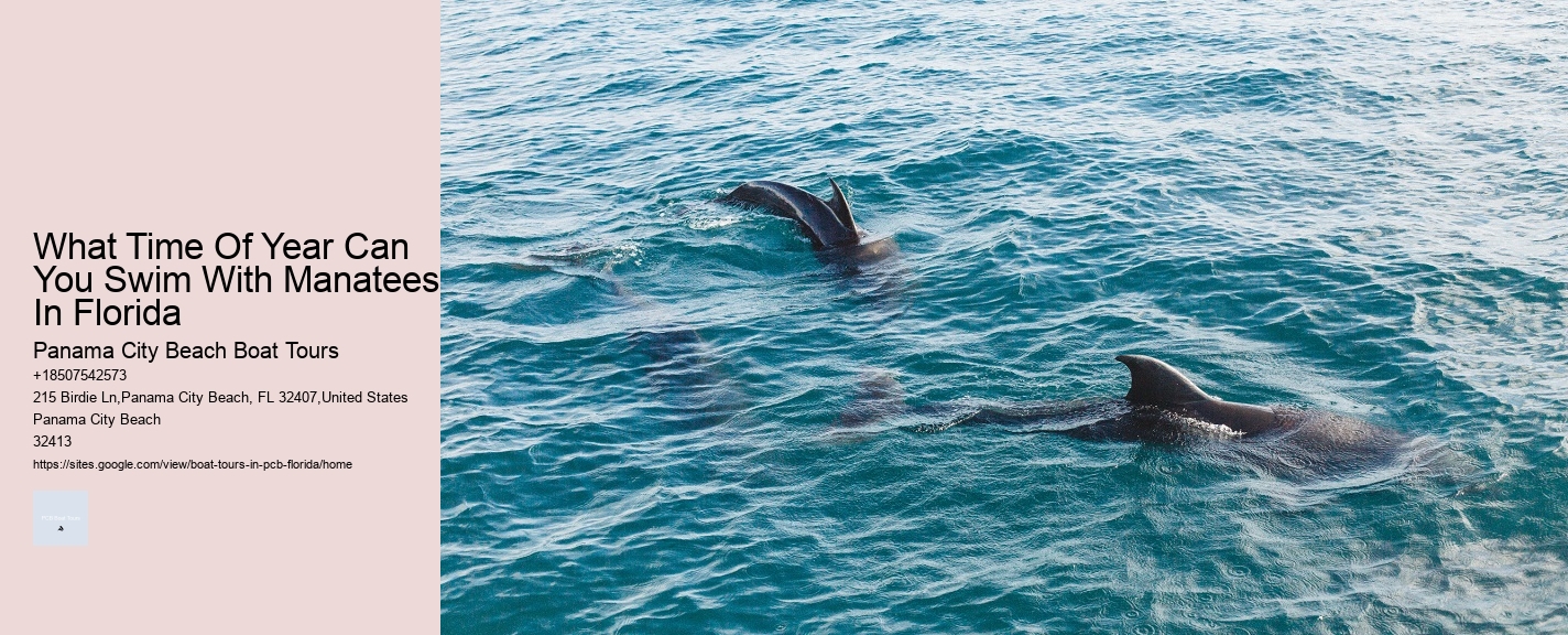 What Time Of Year Can You Swim With Manatees In Florida