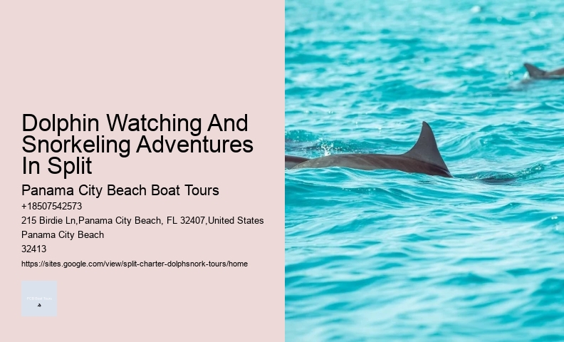 Split Bespoke Snorkeling And Dolphin Itineraries