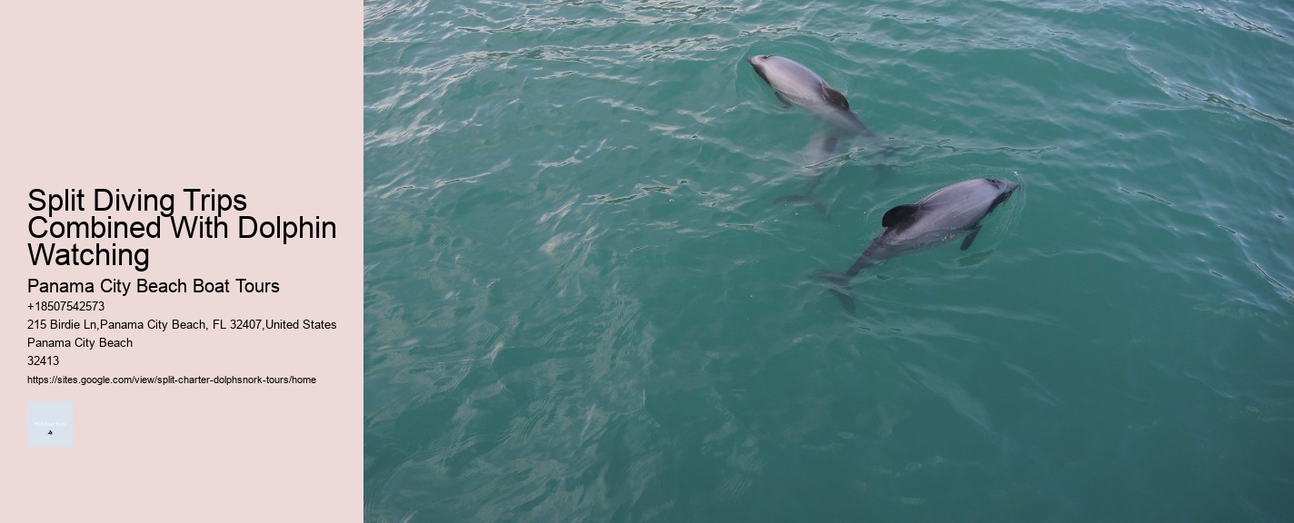 Split Diving Trips Combined With Dolphin Watching Panama City Beach Boat Tours Split Diving Trips Combined With Dolphin Watching