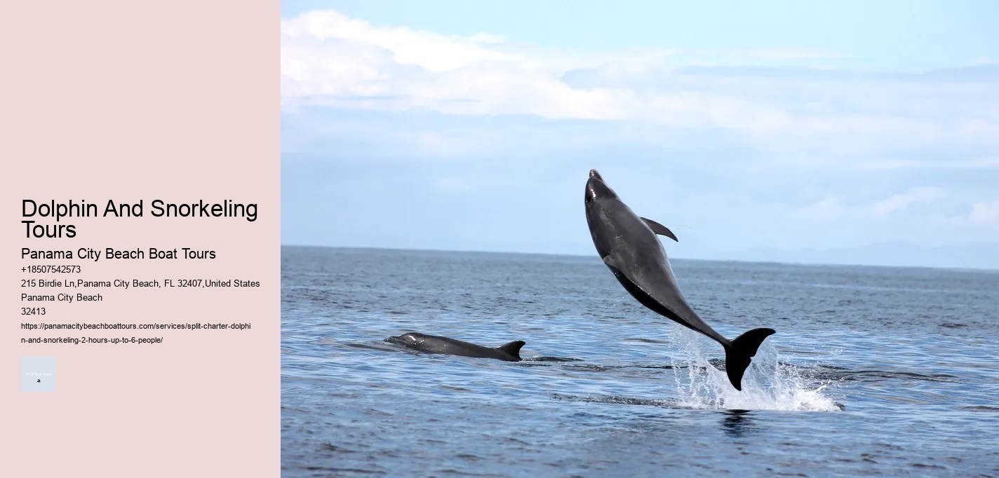 Dolphin And Snorkeling Tours