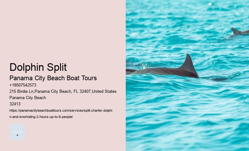 Enjoy Your Cruise Vacations In Cozumel Swimming With Dolphins