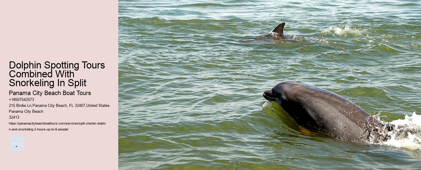 Dolphin Spotting Tours Combined With Snorkeling In Split Panama City Beach Boat Tours Dolphin Spotting Tours Combined With Snorkeling In Split