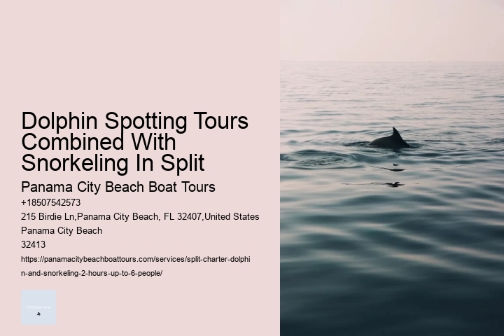 Split Charter Dolphin Snorkeling