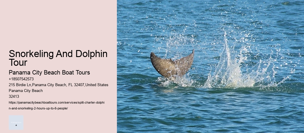Split Family-friendly Dolphin And Snorkeling Trips