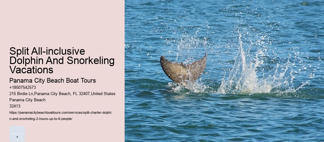 Split All-inclusive Dolphin And Snorkeling Vacations Panama City Beach Boat Tours Split All-inclusive Dolphin And Snorkeling Vacations