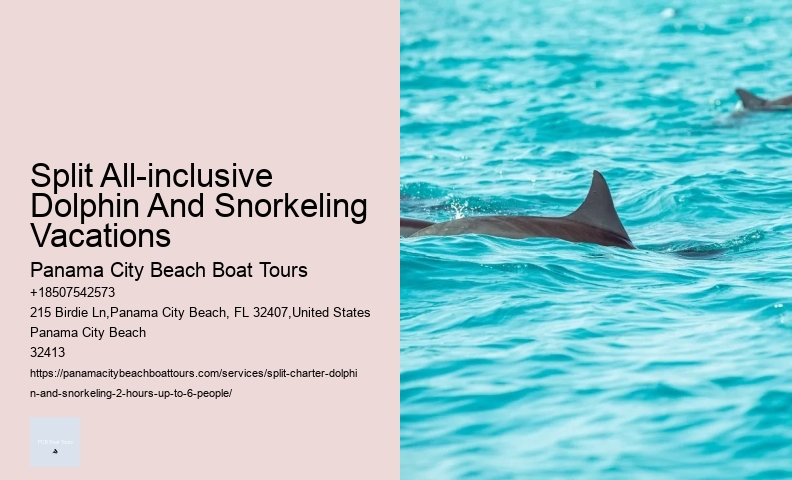 Are Dolphins Aggressive Towards Humans